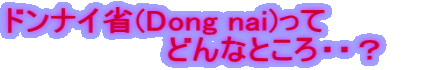 ドンナイ省(Dong nai)って どんなところ・・?